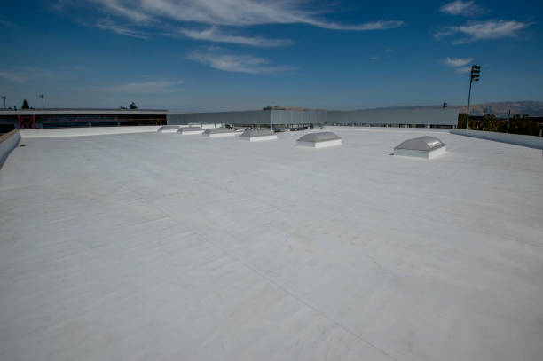 Best Sheet Metal Roofing  in Lakemore, OH