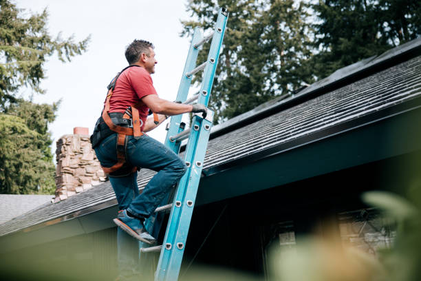 Best Skylights  in Lakemore, OH